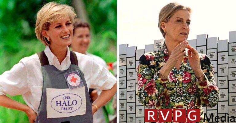 Duchess Sophie takes on Princess Diana when she is sent to Ukraine