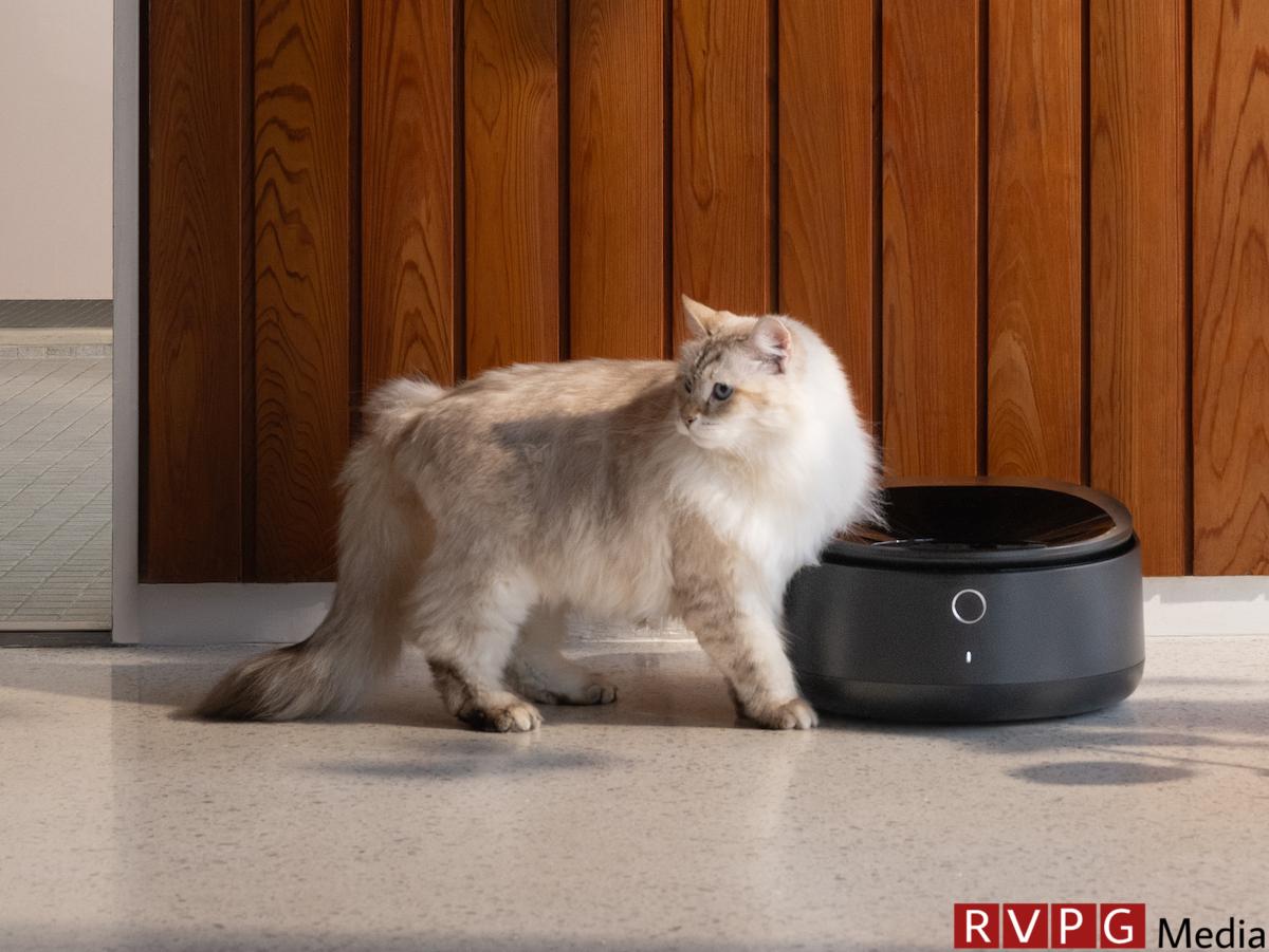 Petlibro's new smart refrigerated wet food dispenser is what your cat deserves  TechCrunch