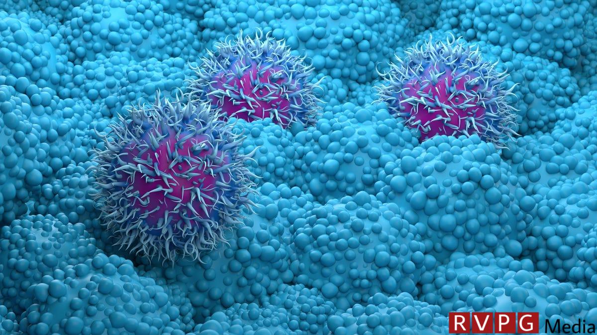 Scientists can now look inside a single cancer cell