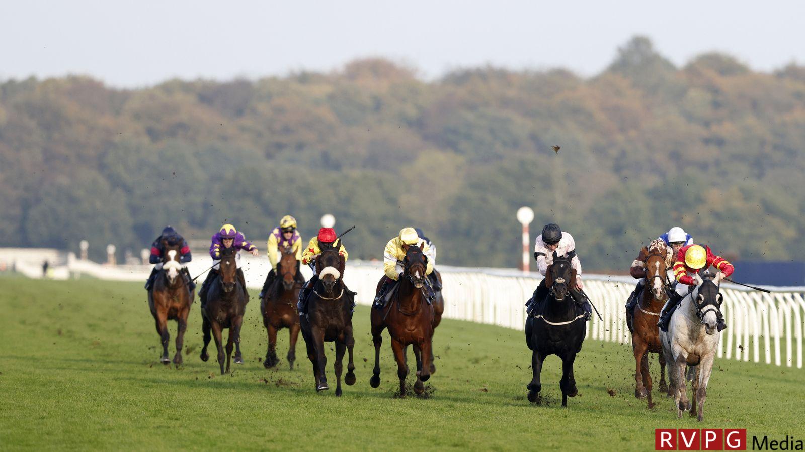 Doncaster hosts the Lincoln Handicap on Saturday