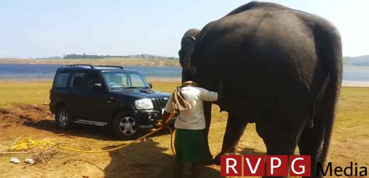 Rescue of Mahindra Scorpion by an elephant