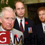 King Charles III  gives William a military role linked to Prince Harry
