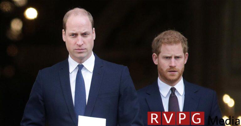 Prince William is 'a bit jealous' of Prince Harry: sources