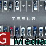 Tesla registrations continue to decline, but that won't stop Tesla from dominating electric vehicle sales