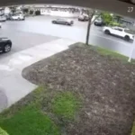 The Dodge Challenger crashes into the U-turn Honda Civic, sparking a confrontation