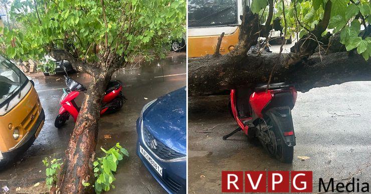 Tree fell on Ather electric scooter