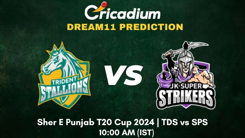 TDS vs SPS Dream11 Prediction and Fantasy Cricket Tips Sher E Punjab T20 Cup 2024 Match 5